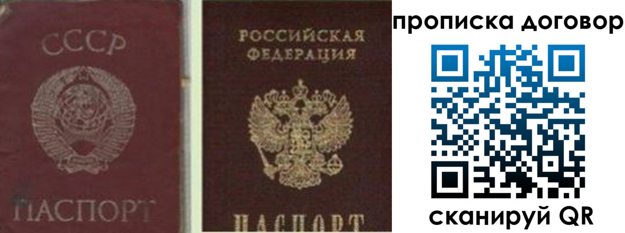 прописка гарантия в Заволжске
